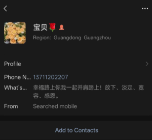 严母.png